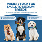 10-Piece Durable Dog Toy Set