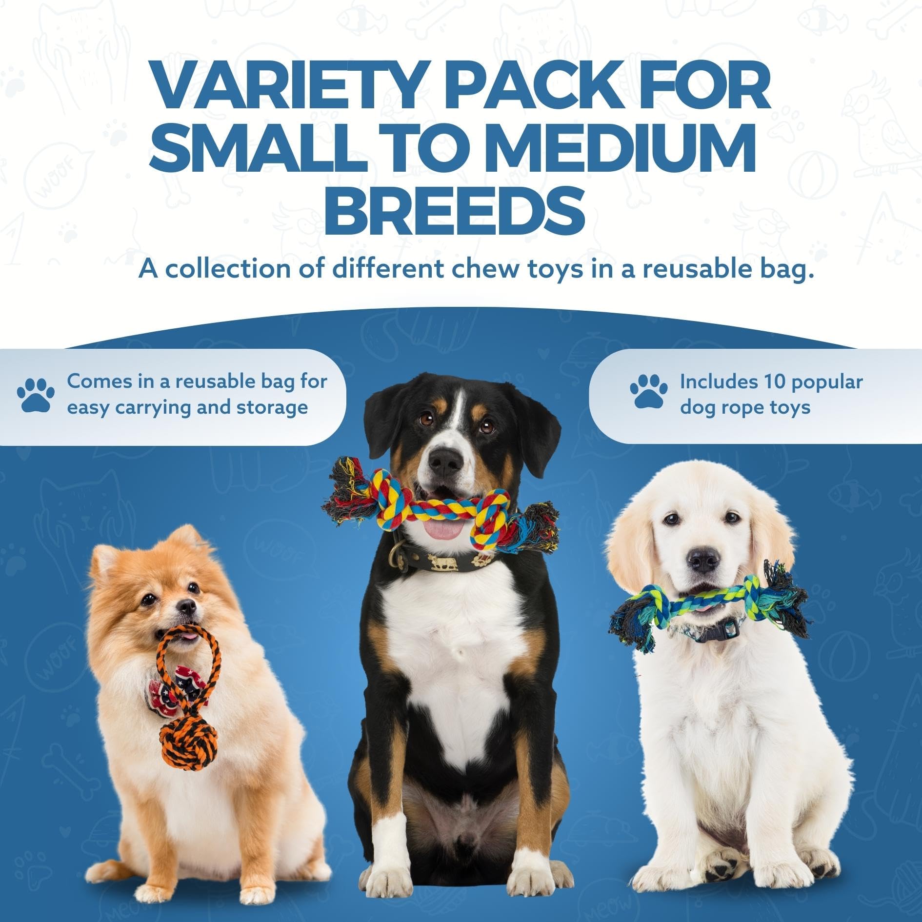 10-Piece Durable Dog Toy Set