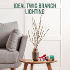 Decorative LED Twig Lights