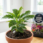 10L Indoor Potting Mix-Garden & Outdoor-Pelle & Sol-1 Pack-DREIBACH