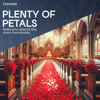 Realistic Decorative Rose Petals