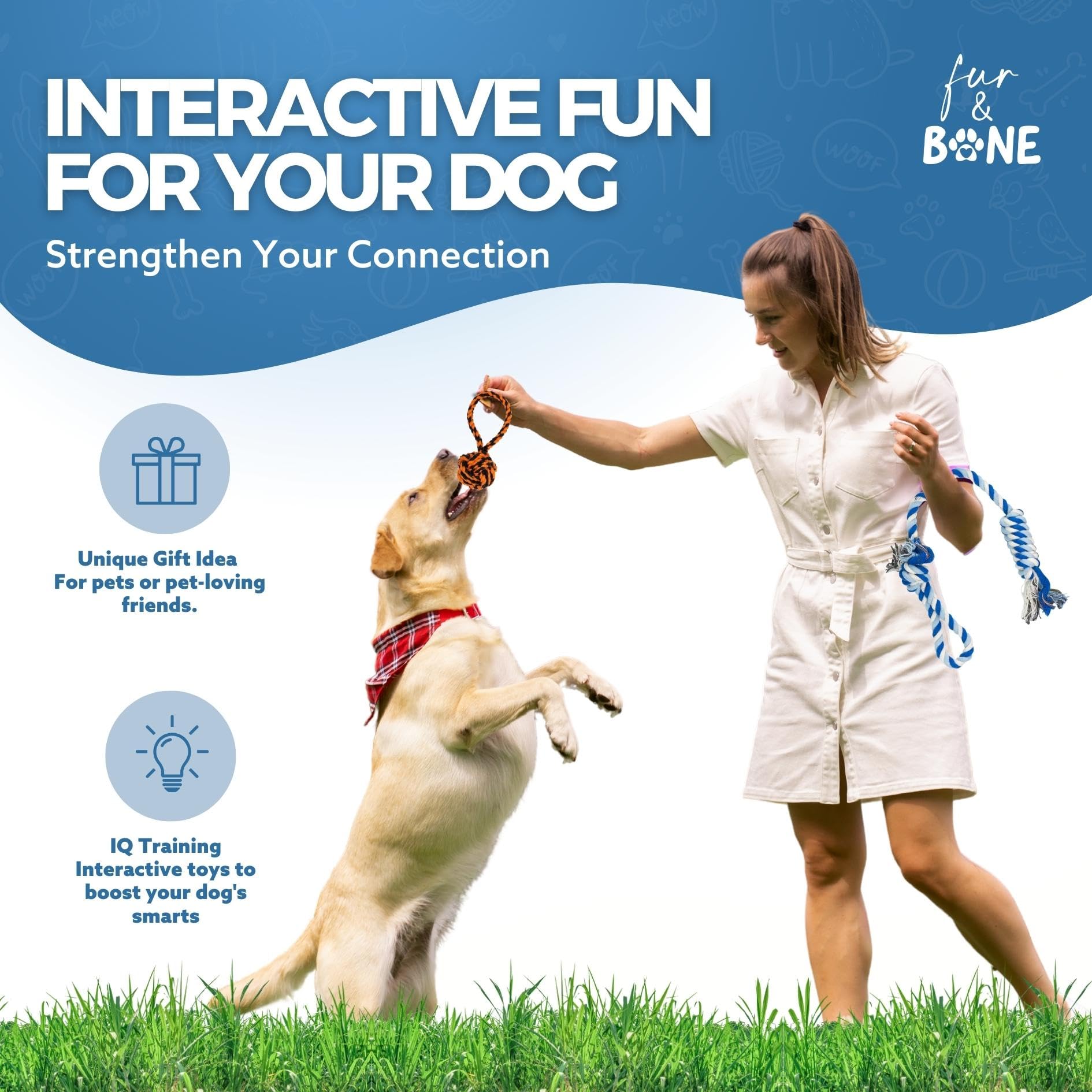 10-Piece Durable Dog Toy Set