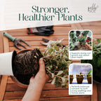 Premium Indoor Potting Mix