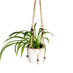 Handcrafted Macrame Plant Hanger
