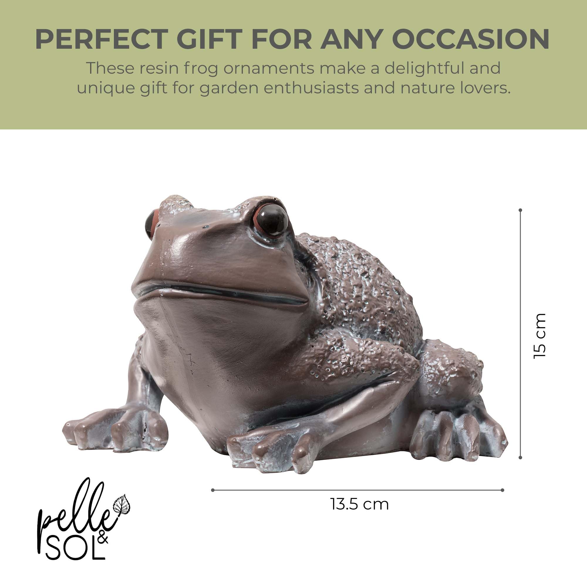 Garden Frog Ornament Set