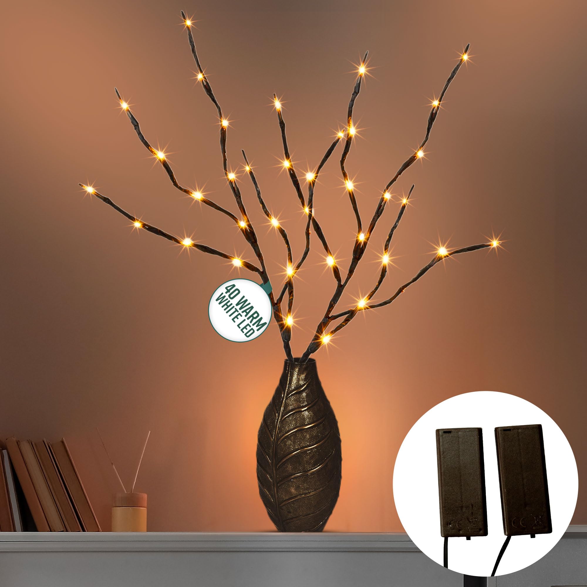 Decorative LED Twig Lights