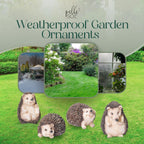 Garden Hedgehog Decorations