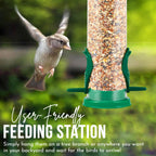 Squirrel-Proof 3-Pack Bird Feeder Set