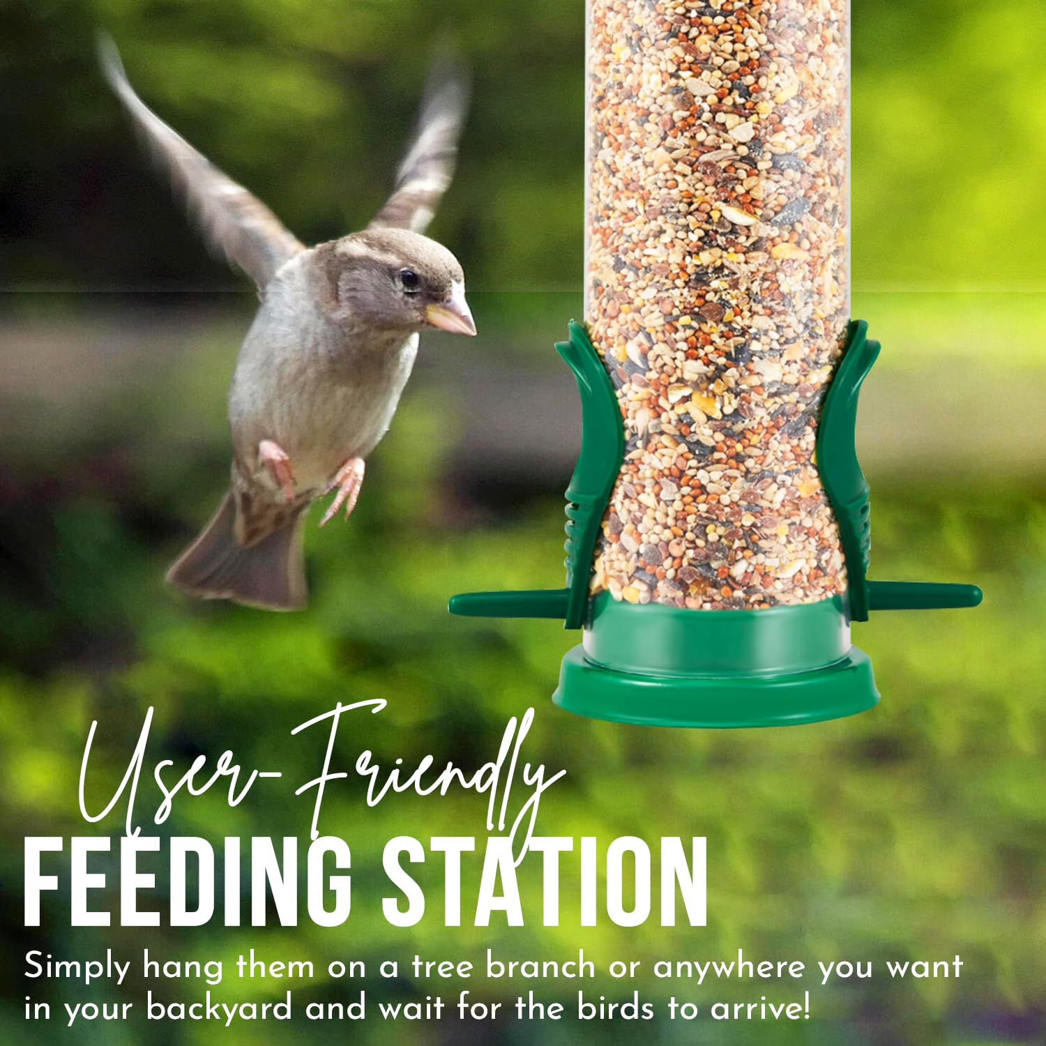Squirrel-Proof 3-Pack Bird Feeder Set