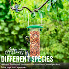 Squirrel-Proof 3-Pack Bird Feeder Set