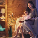 Decorative LED Twig Lights