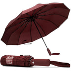Compact Wind Resistant Umbrella