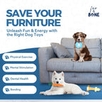 Puppy Teething Toy Set