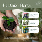 Premium Indoor Potting Mix