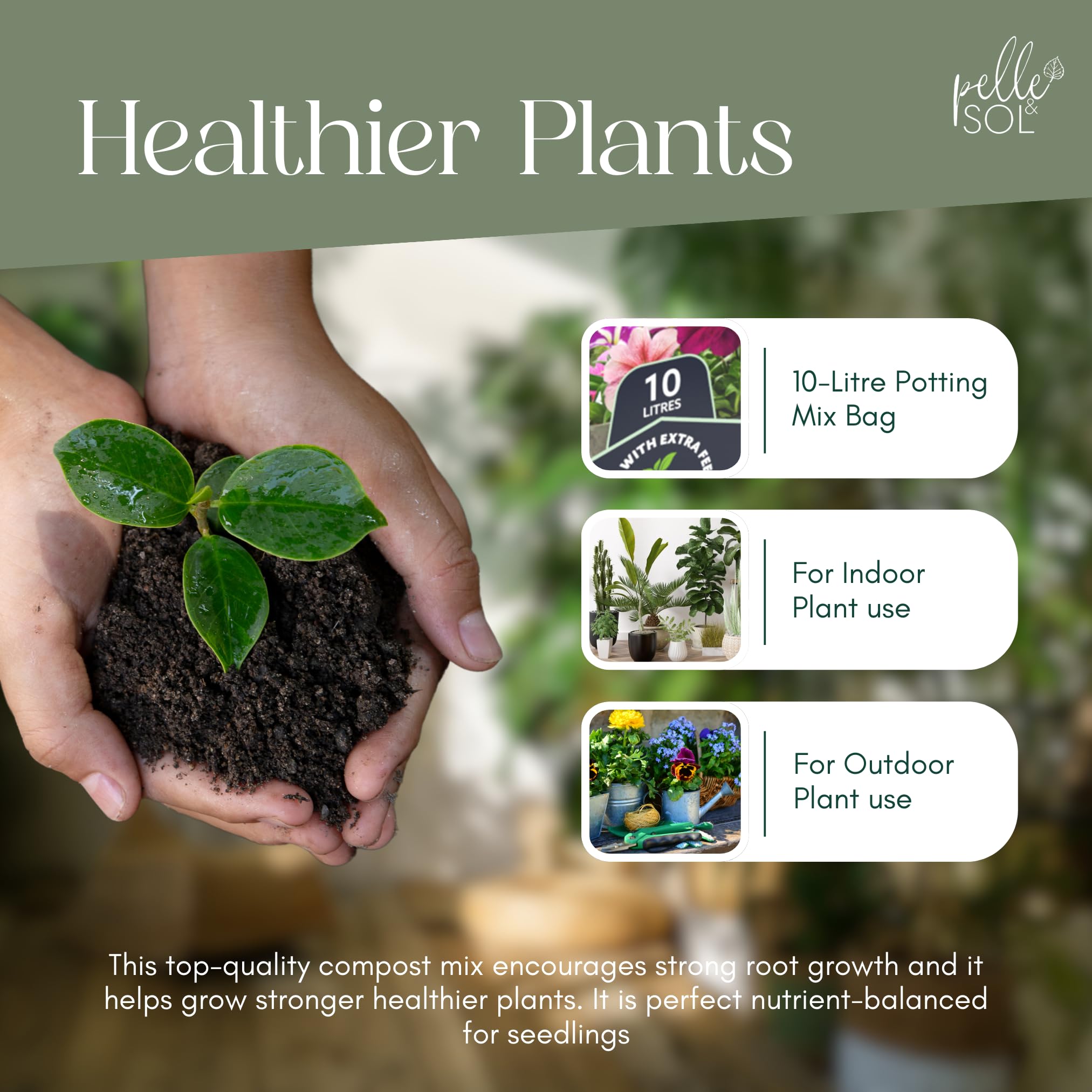 Premium Indoor Potting Mix