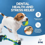 10-Piece Durable Dog Toy Set