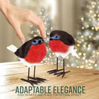 Set of 2 Robin Garden Ornaments