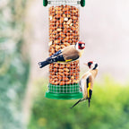 Squirrel-Proof 3-Pack Bird Feeder Set