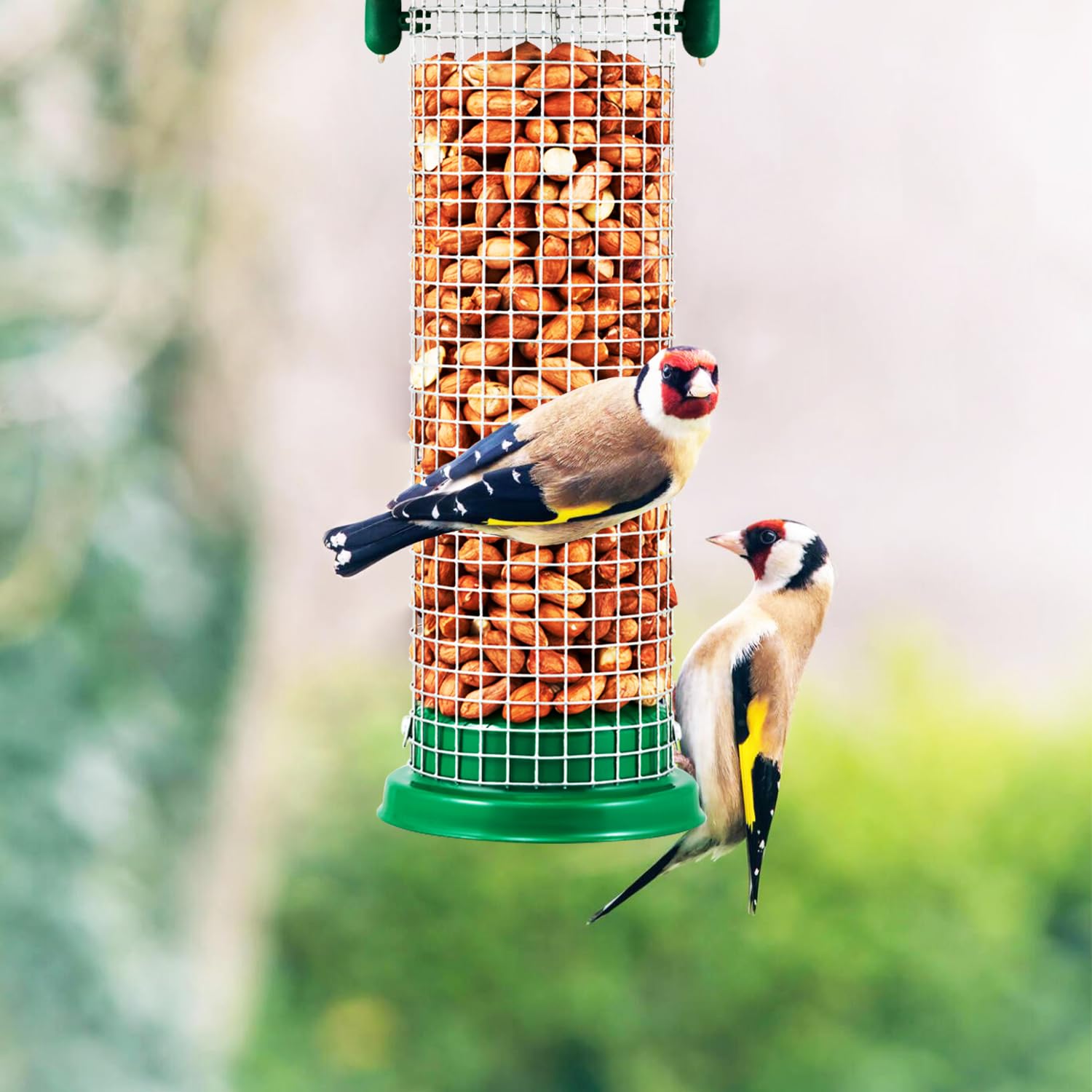 Squirrel-Proof 3-Pack Bird Feeder Set