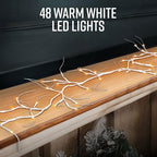 6ft Birch LED Christmas Garland