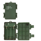 Effortless Festive Garden Pathway Lights