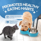 Double Slow Feeder Bowl