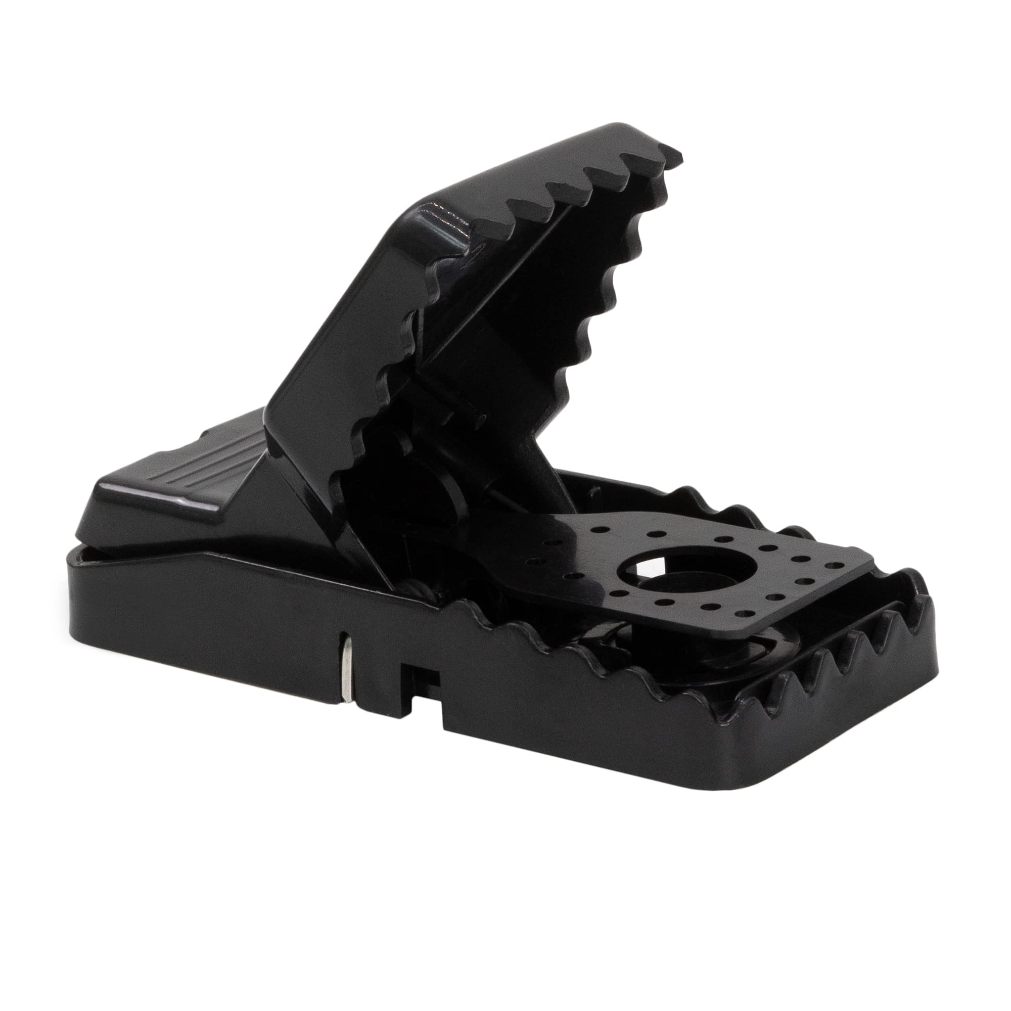 Effective Reusable Mouse Traps 6-Pack