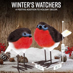 Set of 2 Robin Garden Ornaments
