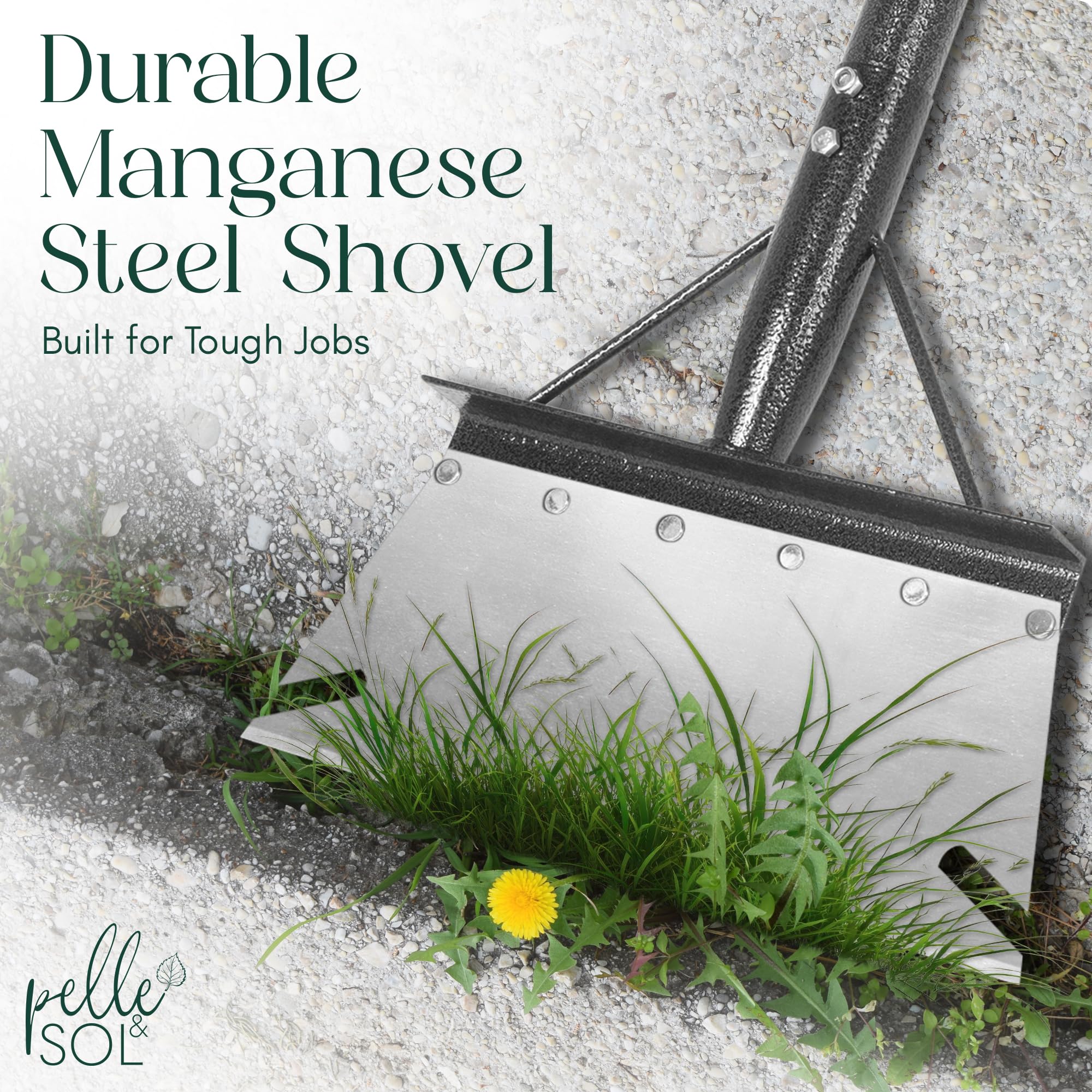 Multi Purpose Weeding Tool