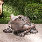 Garden Frog Ornament Set