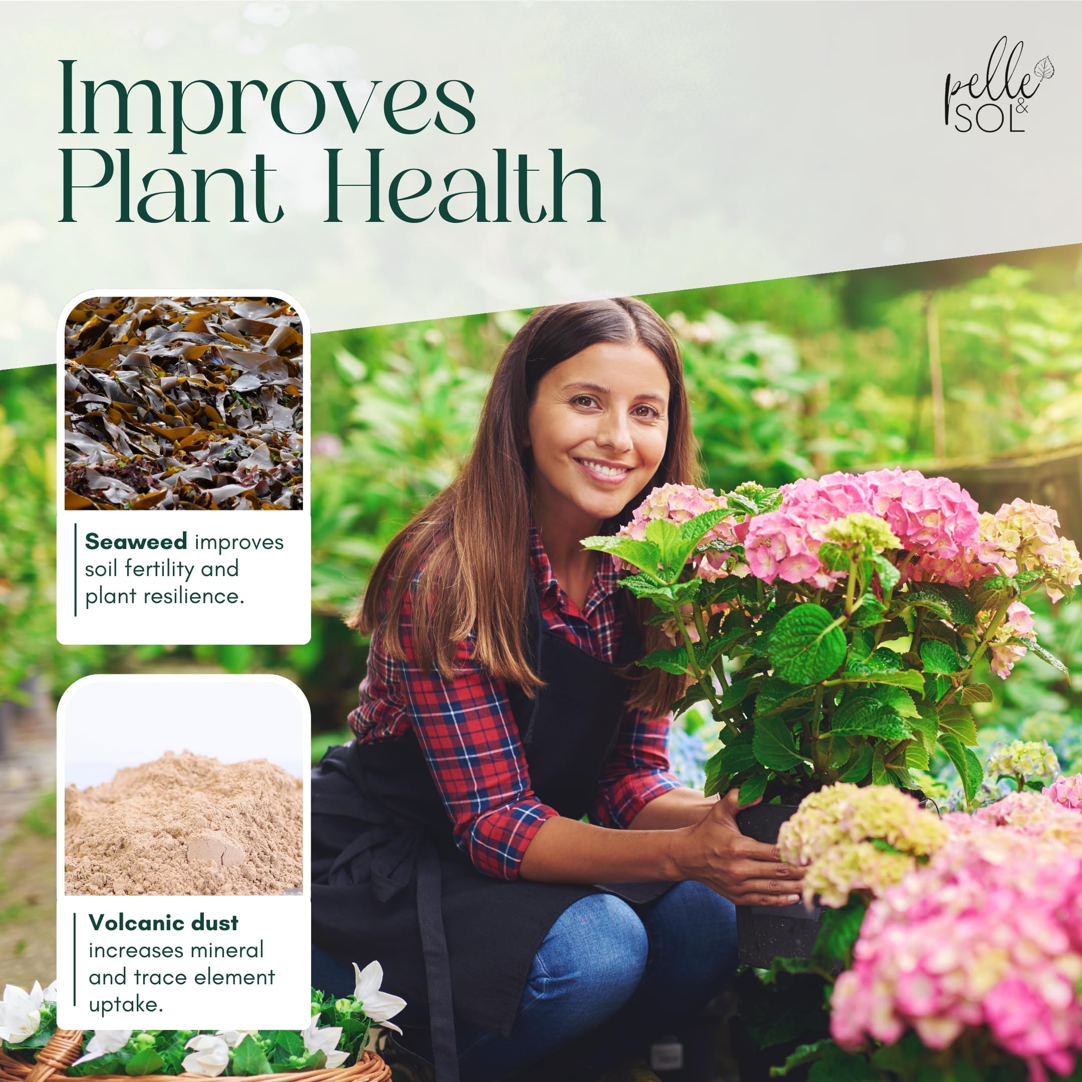 Premium Peat-Free Multi-Purpose Compost