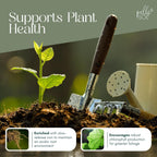 Peat-Free Ericaceous Compost