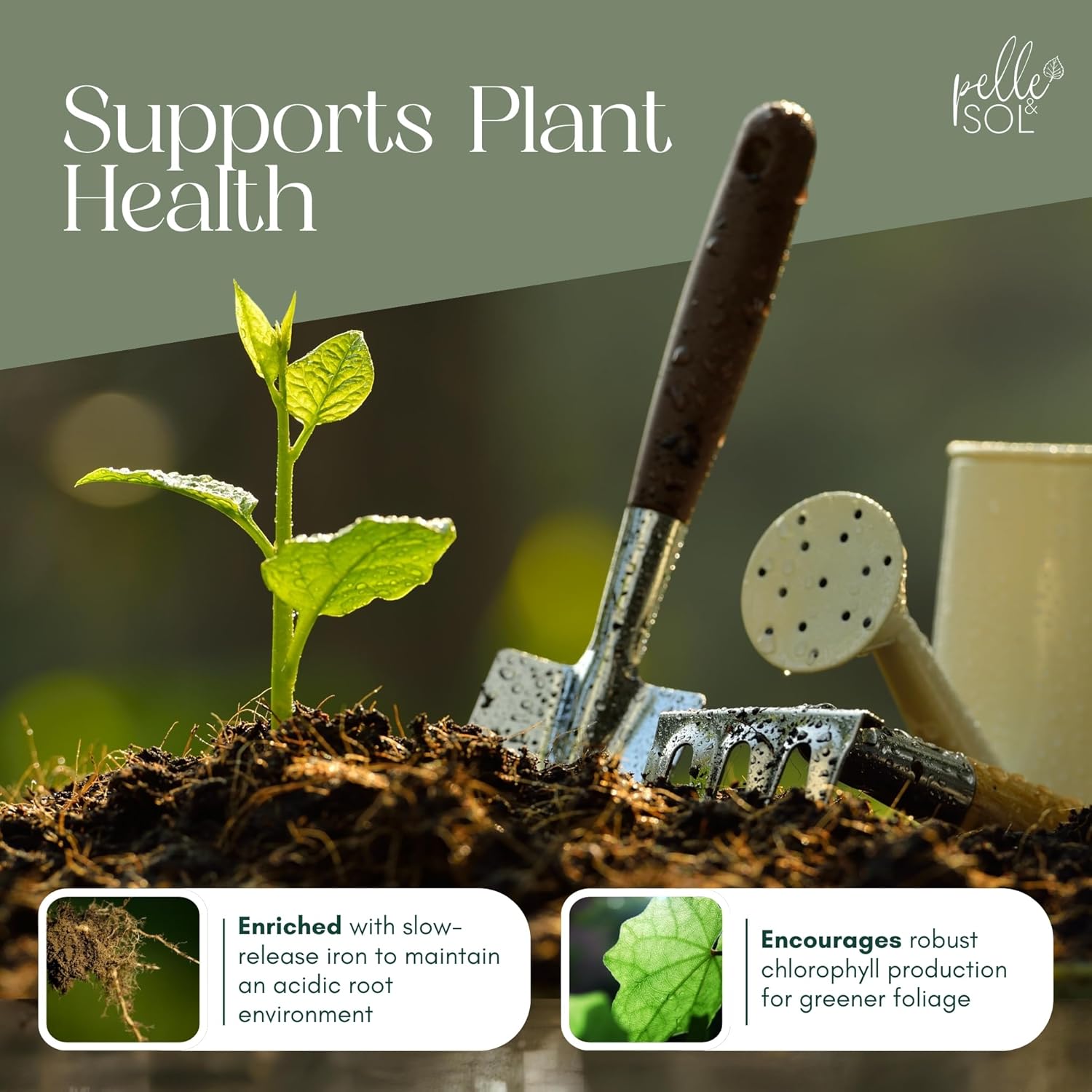 Peat-Free Ericaceous Compost