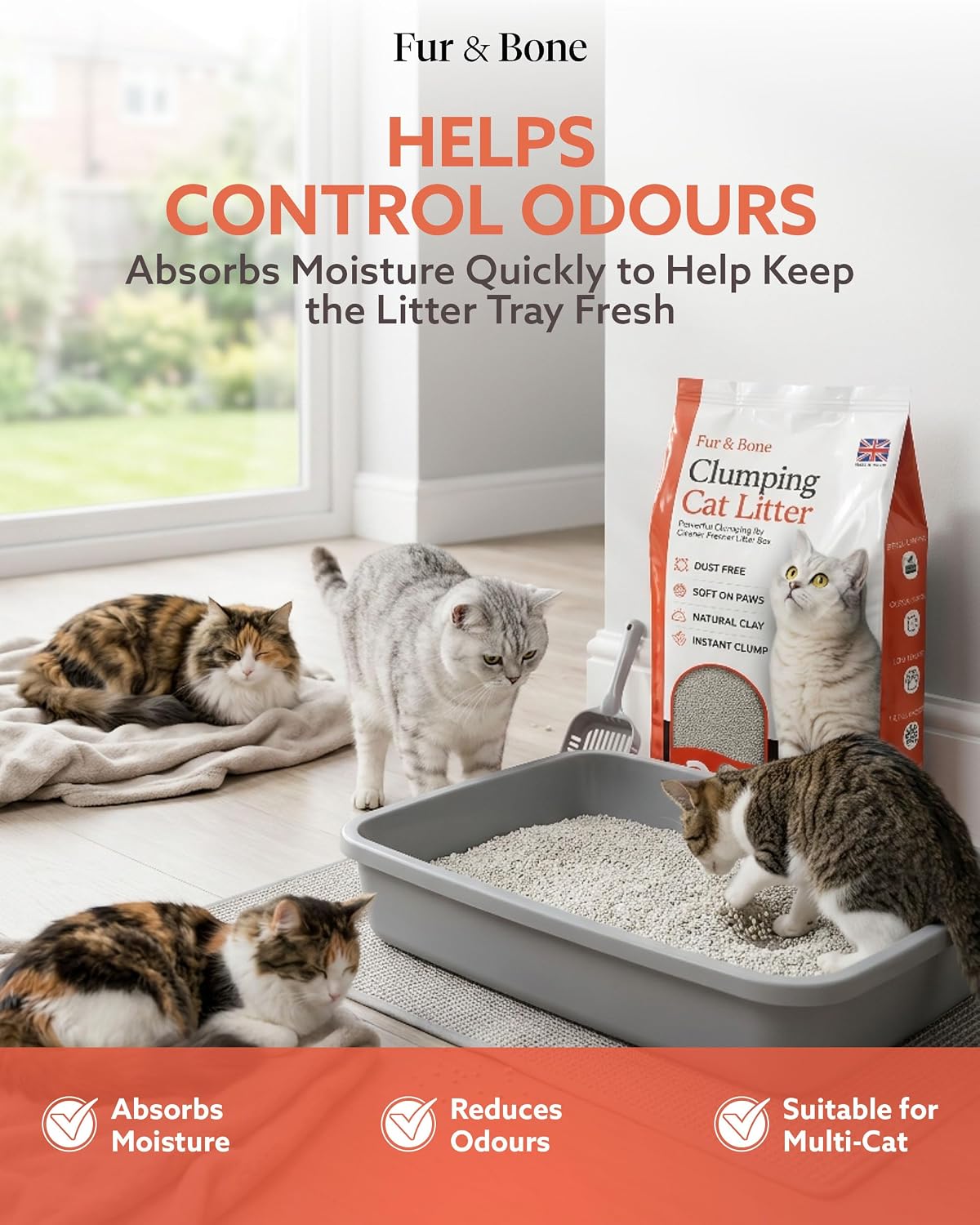 10L Clumping Cat Litter - DREIBACH