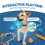 Dog Teething Toys (18-Pack) - DREIBACH