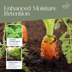 Peat-Free Ericaceous Compost