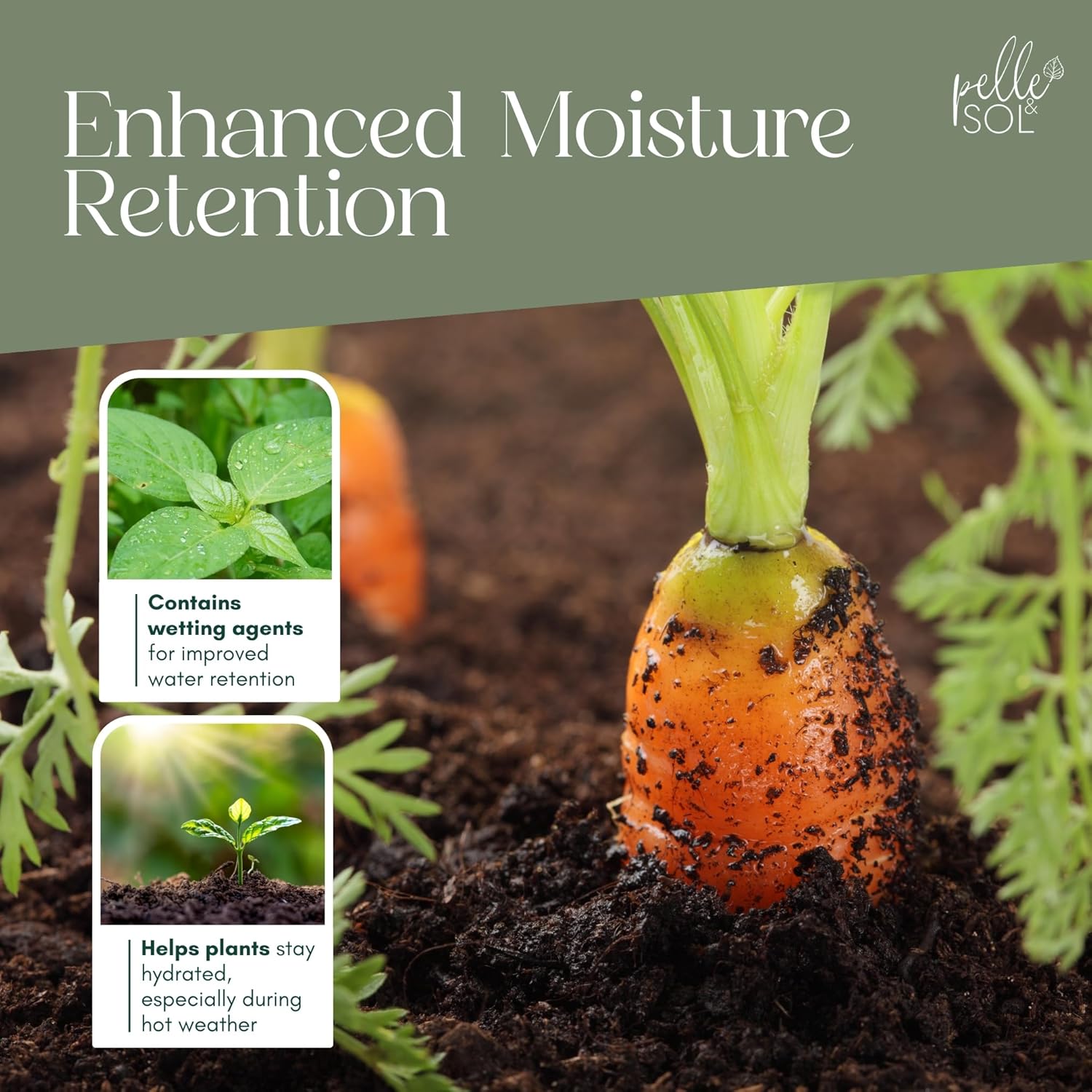 Peat-Free Ericaceous Compost