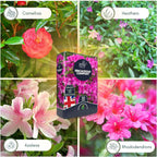 Peat-Free Ericaceous Compost