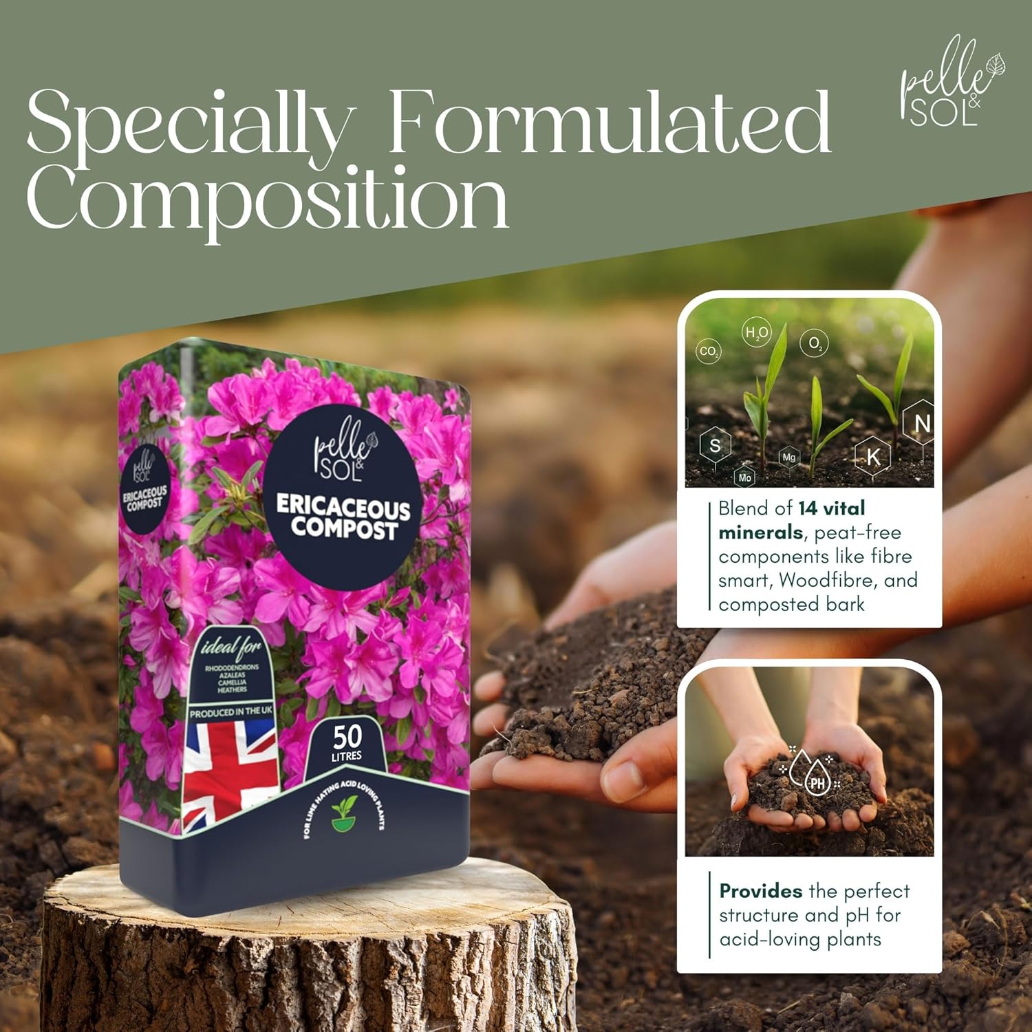 Peat-Free Ericaceous Compost