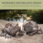 Garden Frog Ornament Set