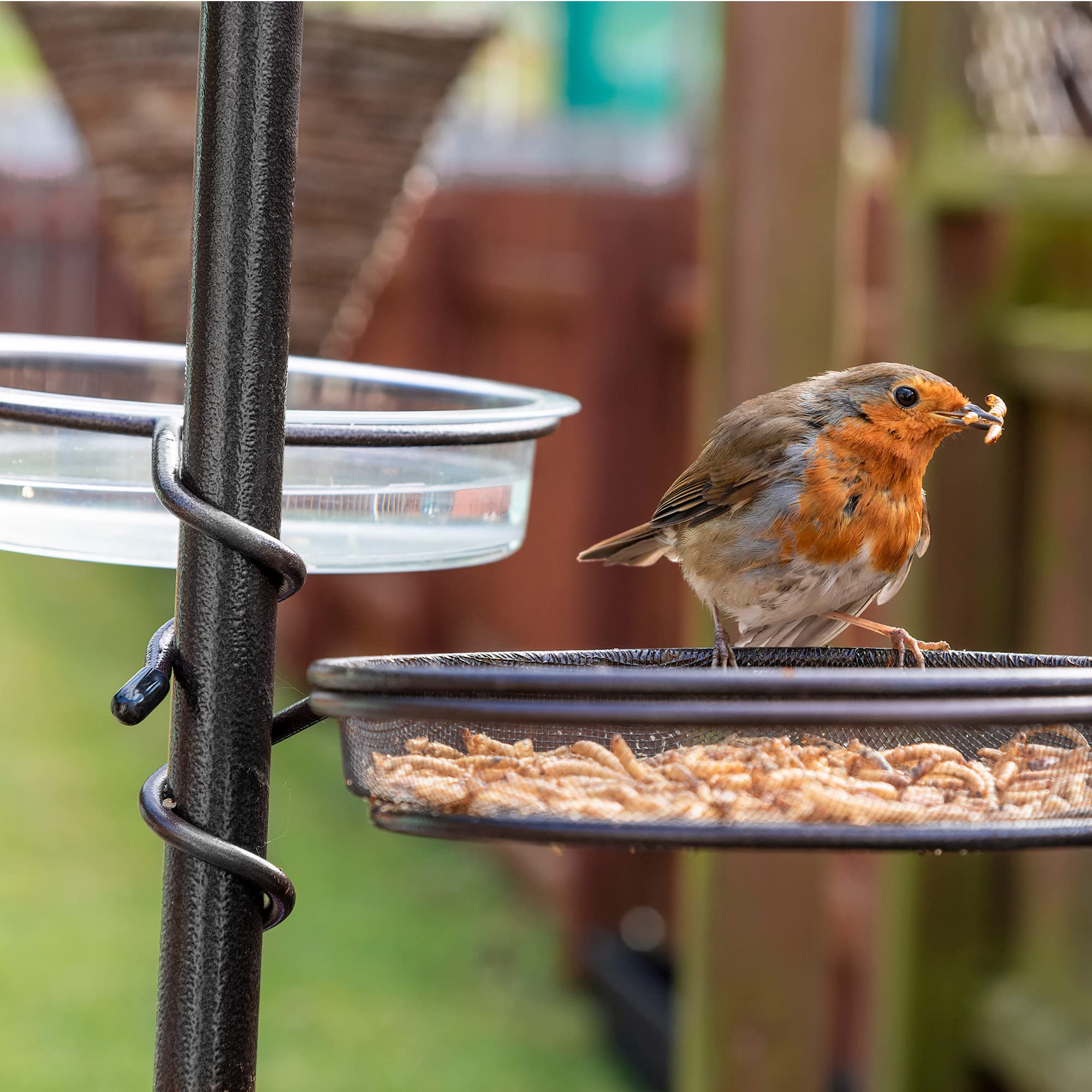 Outdoor Garden Bird Feeding Station