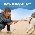 Puppy Teething Toy Set