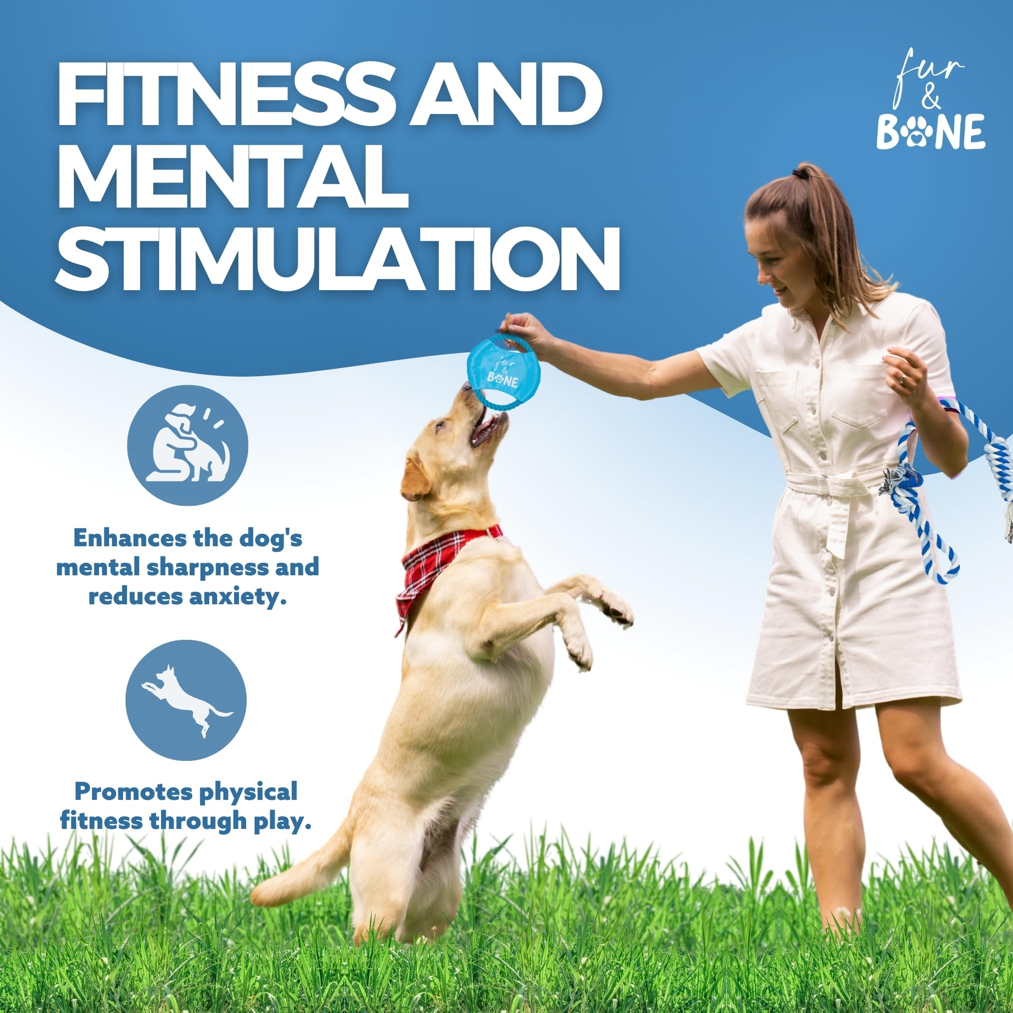 Puppy Teething Toy Set