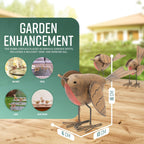 Set of 3 Robin Ornaments