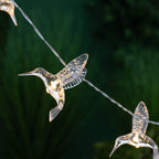 Hummingbird Solar String Lights