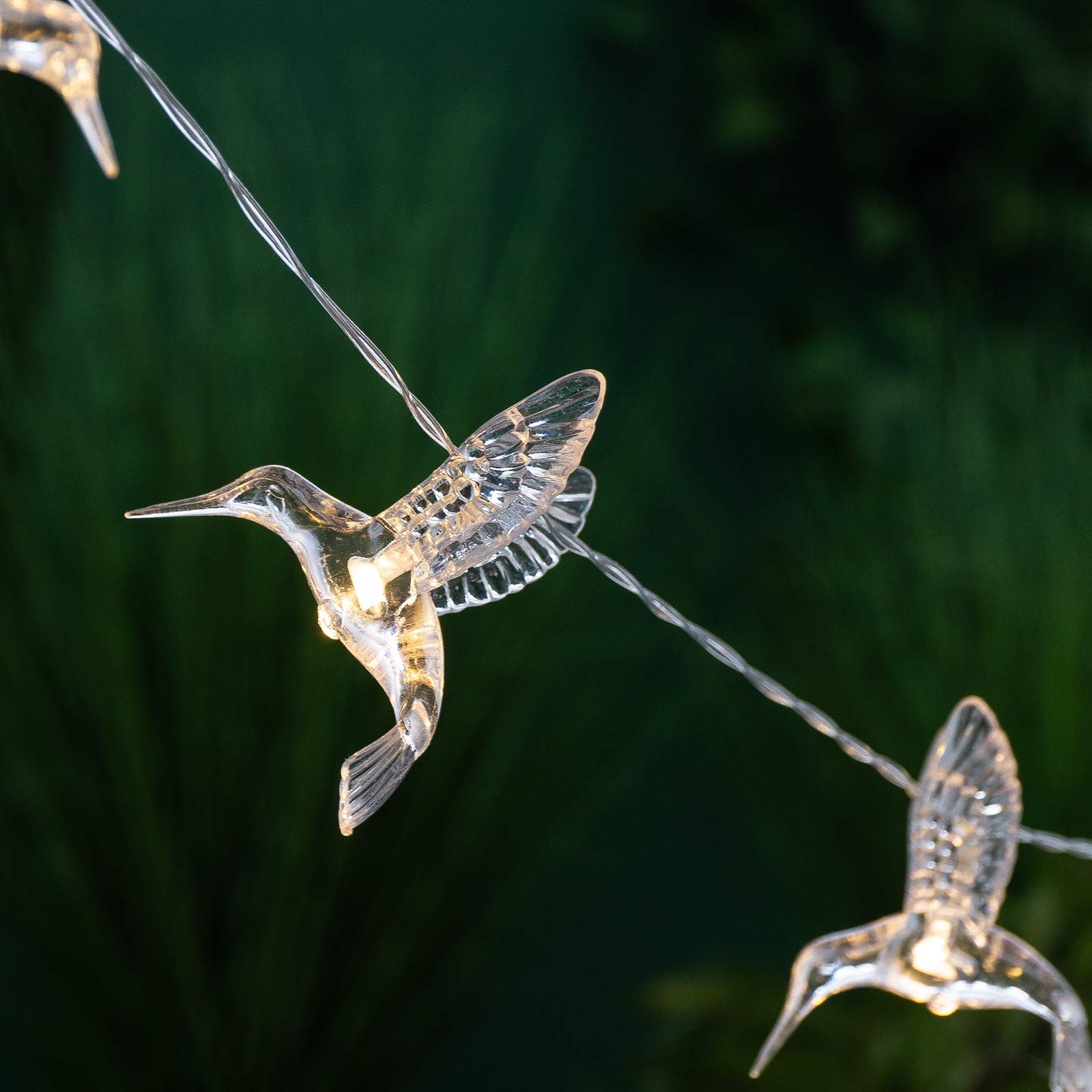Hummingbird Solar String Lights