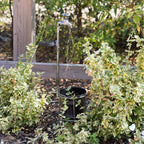 Outdoor Solar Waterfall Light