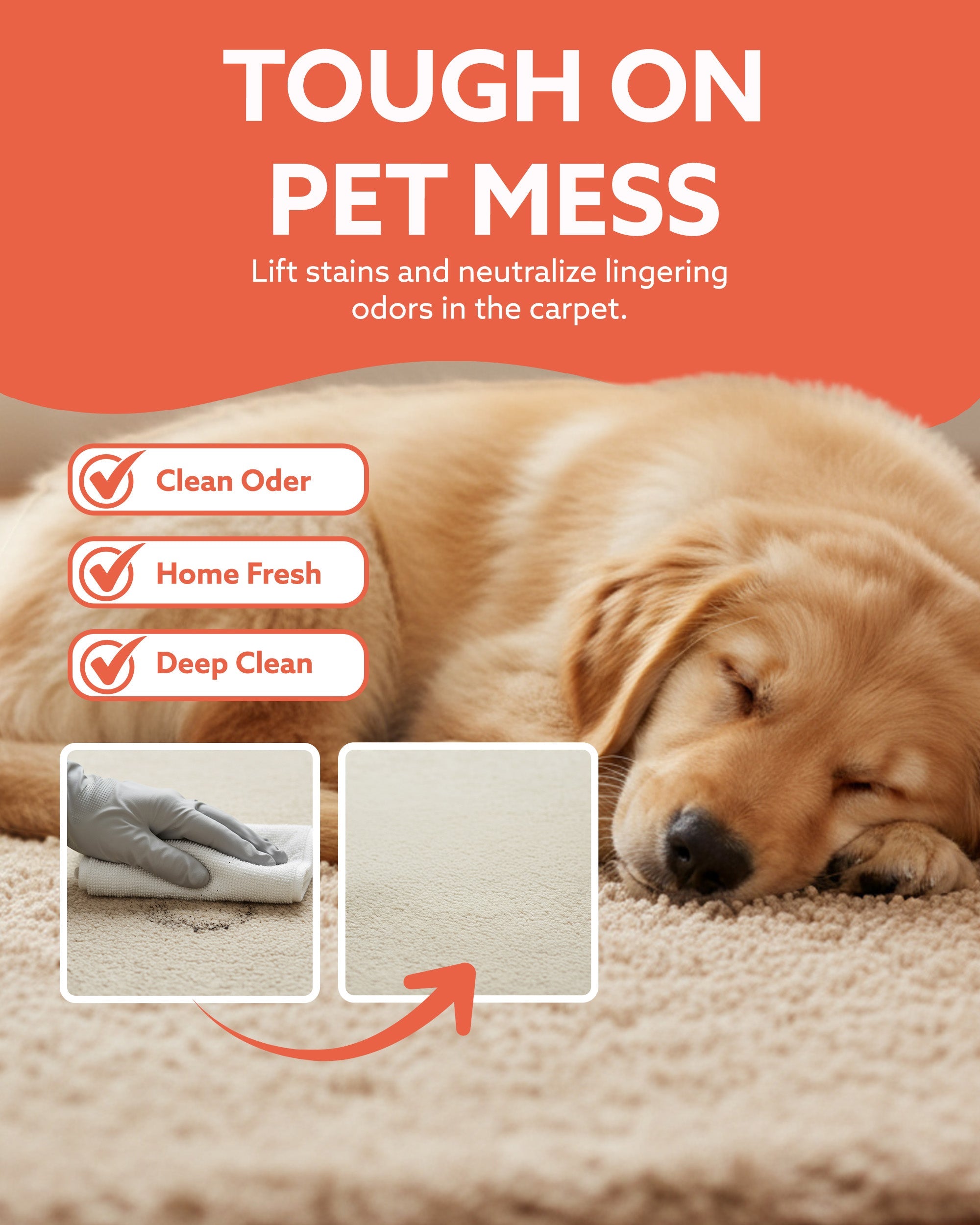 5 Litre Pet Safe Disinfectant