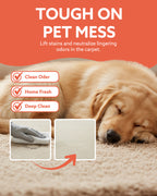 5 Litre Pet Safe Disinfectant