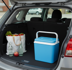 24L Insulated Cool Box